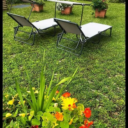 Apartment Berghof 