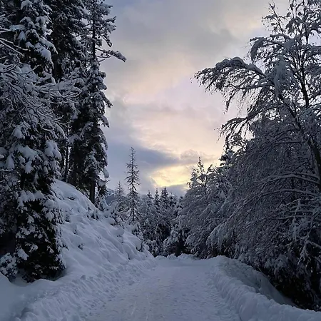 Апартаменты Berghof 