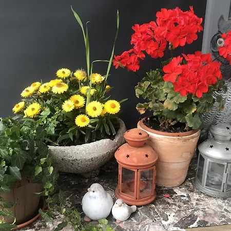 Апартаменты Berghof 